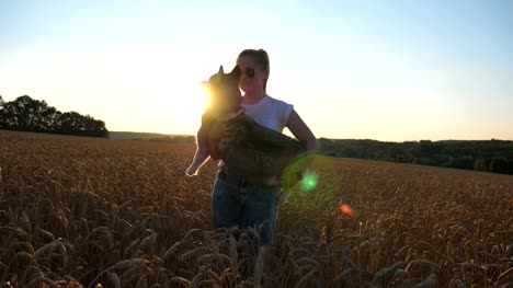 Happy-girl-with-blonde-hair-carrying-on-hands-siberian-husky-dog-and-spinning-her-around-on-golden-wheat-field.-Young-woman-in-sunglasses-circling-pet-in-her-arms-among-the-spikelets-at-meadow.