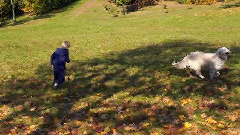 feliz-niño-de-aspecto-europeo-es-divertirse-jugando-en-el-parque-de-otoño-con-un-gran-perro-hermoso