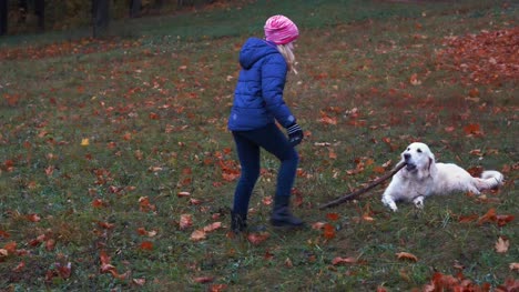 happy-little-girl-of-european-appearance-is-having-fun-playing-in-the-autumn-park-with-a-big-beautiful-dog