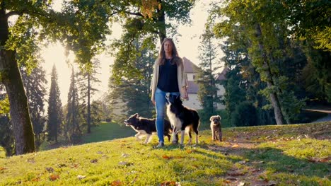 A-young-brunette-is-walking-her-dogs-in-the-countryside.-Sun-is-shining-through-the-branches.