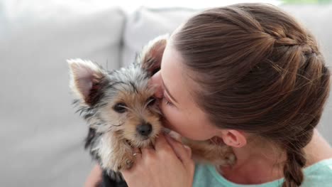 Woman-cuddling-her-cute-yorkshire-terrier-puppy-on-sofa