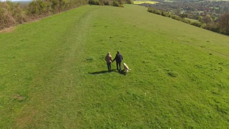 Luftaufnahme-des-reifes-Paar-und-Hund-auf-Spaziergang-In-Natur