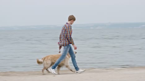 Teenage-Boy-Walking-Dog-am-Strand