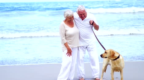 Feliz-pareja-senior-jugando-con-perro-en-la-playa