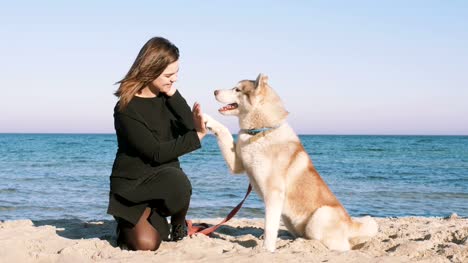 Young-female-giving-high-five-with-siberian-husky-dog-on-the-beach