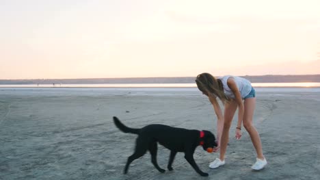 Joven-mujer-jugando-y-entrenando-perros-labrador-retriever-en-la-playa-al-atardecer