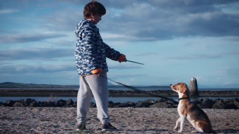 4K-Outdoor-Seaside-Child-and-Dog-Playing-on-Beach