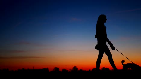 Silhouette-eines-Mädchens-mit-einem-Hund-gegen-den-Himmel-bei-Sonnenuntergang-zu-Fuß.