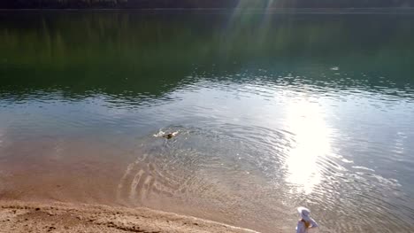 Frau-spielt-mit-ihrem-Hund-in-der-Nähe-Fluss-Küste-an-einem-sonnigen-Tag-4K-4k