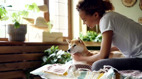 Cheerful-African-American-teenager-pretty-girl-is-snuggling-cute-puppy-and-kissing-it-sitting-on-bed-at-home.-Large-windows,-green-plants-and-modern-linen-is-visible.