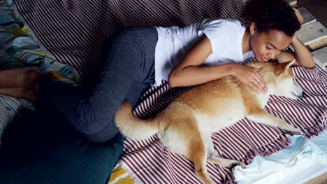 Süße-Mischlinge-Mädchen-streicht-über-reinrassige-Shiba-Inu-Hund-auf-Bett-liegend,-während-Tier-Liebe-und-Zärtlichkeit-genießen.-Liebevolle-Tiere,-freundliche-Menschen-und-Entspannung-Konzept.