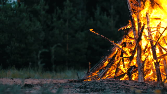 Großes-Lagerfeuer-aus-Zweigen-brennen-in-der-Nacht-im-Wald