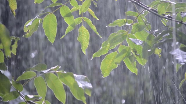 Starker-Regen-regnet-Dusche-Platzregen-Wolkenbruch-es-während-des-Tages.