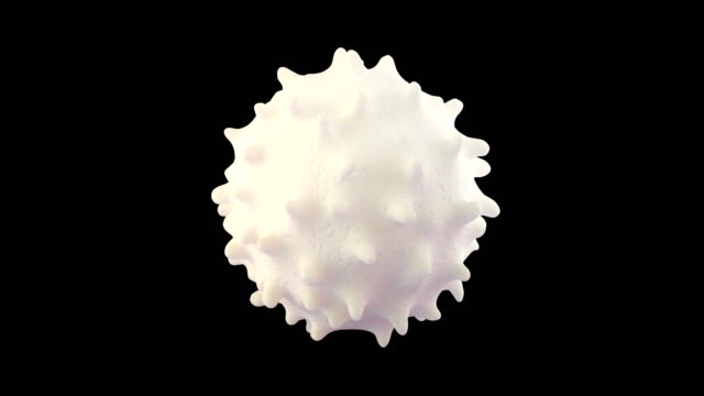 3D-animation-of-white-blood-cell