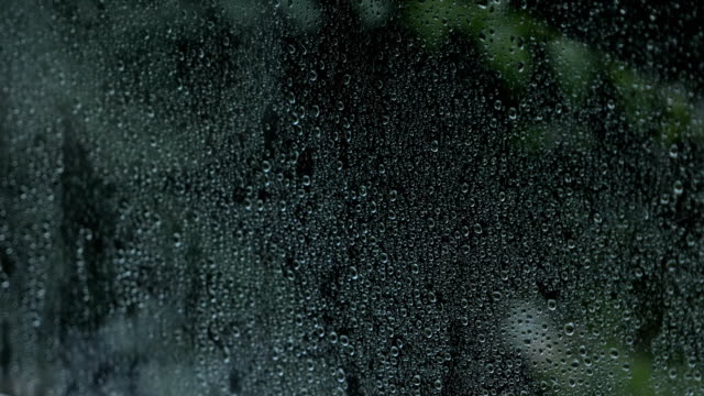 Gotas-de-lluvia-en-la-ventana-en-el-fondo-de-oscuros-árboles.