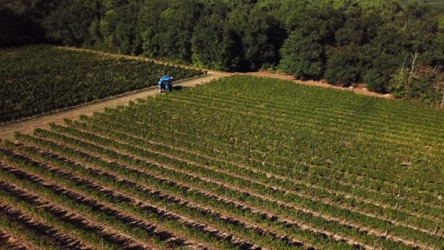Máquina-cosecha-uva,-vista-aérea-del-país-del-vino-cosecha-de-la-uva-con-la-máquina-segador,-zángano-de-la-vista-del-paisaje-de-viñedos-de-Bordeaux,-Francia