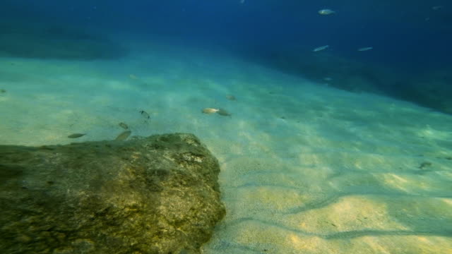 Tauchen-Unterwasser-4k