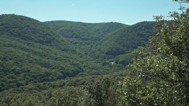 Panorama-des-Waldes