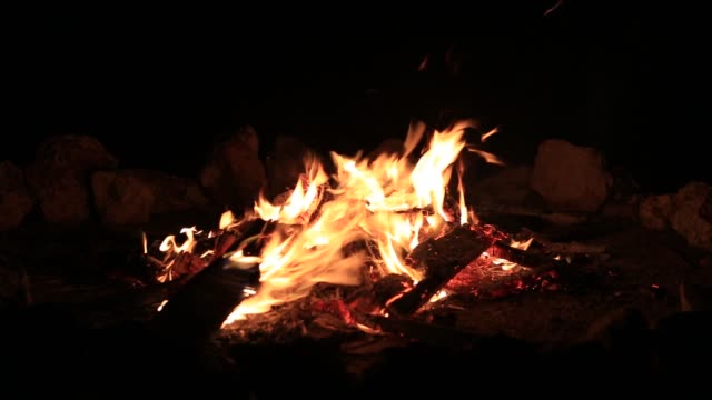 Bonfire-burning-trees-at-night.-Bonfire-burning-brightly,-heat,-light,camping