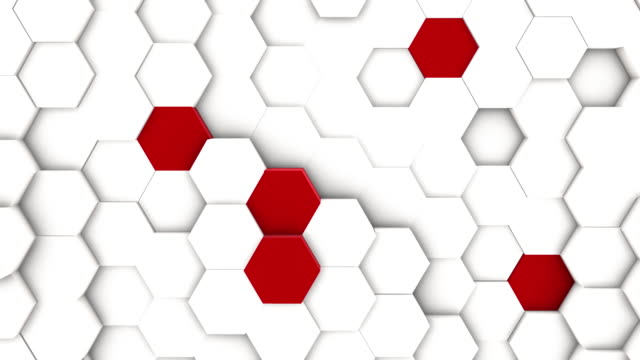 white-minimal-polygonal-grid-pattern-with-some-color-elements