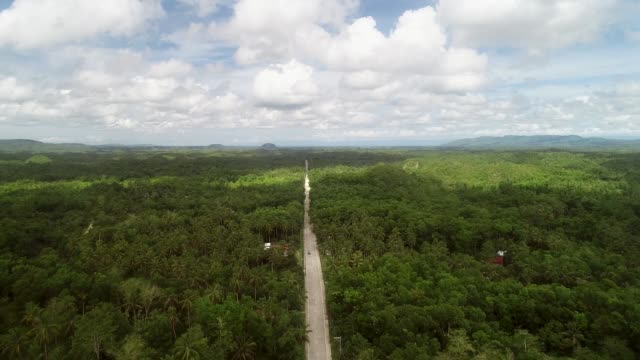 Aerial-view-road-crossing-the-Chocolate-Hills-Complex,-Batuan,-Philippines.