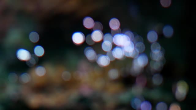 Blur-air-bubble-from-oxygen-machine.-Abstract-blur-bokeh-background.