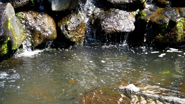 Water-flowing-in-brook-in-slow-motion-180fps