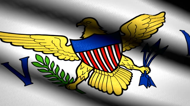 United-States-Virgin-Islands-Flag-Waving-Textile-Textured-Background.-Seamless-Loop-Animation.-Full-Screen.-Slow-motion.-4K-Video