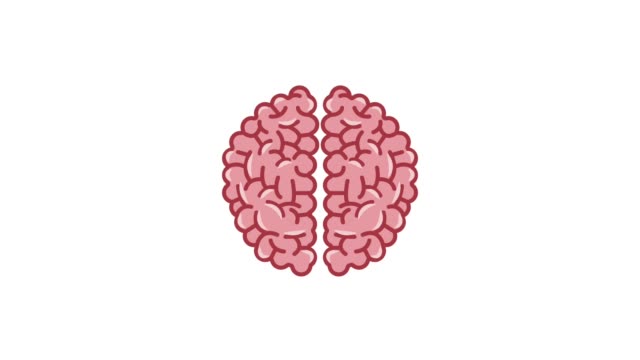 Brain-and-knowledges-HD-animation