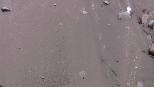 Sehr-nassen-schwarzen-sand