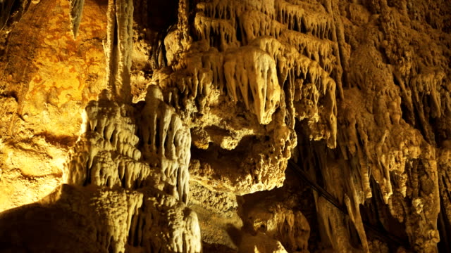 Kalkstein-Formationen-in-der-Kathedrale-Raum-der-Lewis-und-Clark-Höhlen