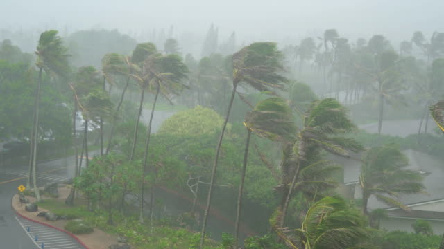Tropical-Storm-with-Rain-and-High-Winds-Hit-Island