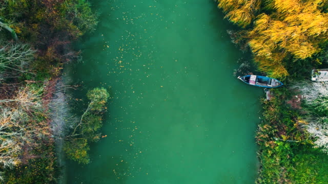 River-and-autumn-trees,-aerial-drone-video