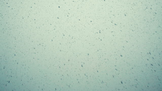 Large-snow-flakes-are-falling-from-the-sky,-very-large-snow-falls-by-a-wall,-a-bottom-view,-slow-motion