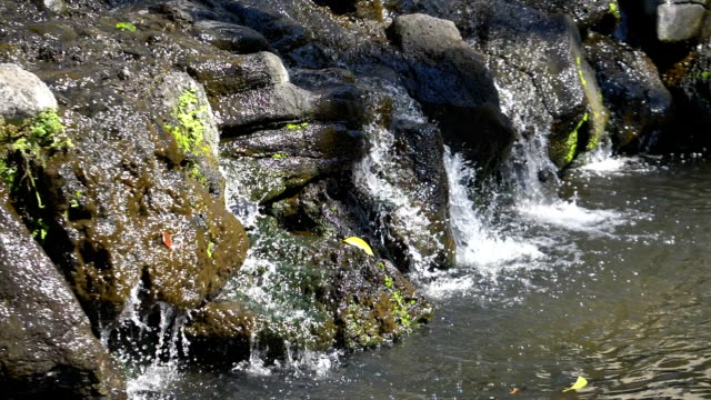 Water-flowing-in-brook-in-slow-motion-180fps
