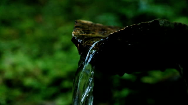 Vierte-el-agua-a-través-de-un-árbol-en-el-bosque,-la-fuente-de-agua-es-un-arroyo-que-fluye-en-las-montañas-en-un-camping,-lenta.