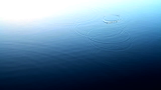 Water-Ripples-created-by-the-Fishes-at-the-lake