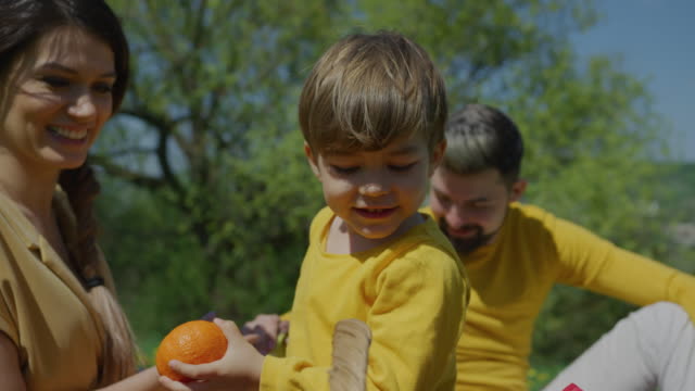 Junge-nimmt-Früchte-aus-Picknickkorb
