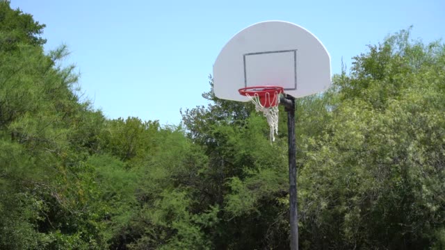 Schwenken-der-Basketballkorb-mit-Wald-im-Hintergrund