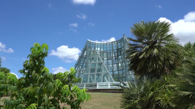 Panning-Video-of-Greenhouse-Glass-Structure-Behind-Palm-Tree