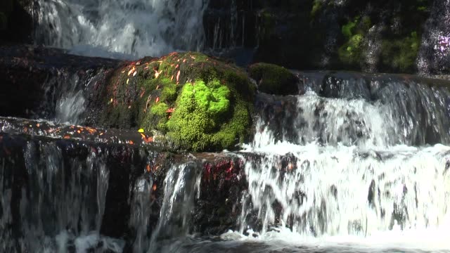 Wasserfälle-in-Neuseeland.