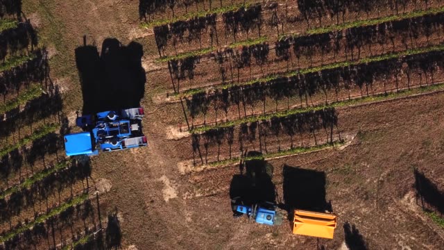 Grape-harvesting-machine,-Aerial-view-of-Wine-country-harvesting-of-grape-with-harvester-machine,-drone-view-of-Bordeaux-vineyards-landscape,-France