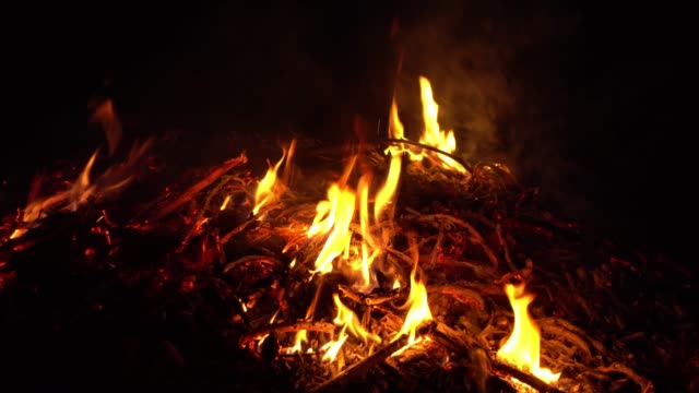 fuego-ardiente-en-la-naturaleza.-llamas-brillantes