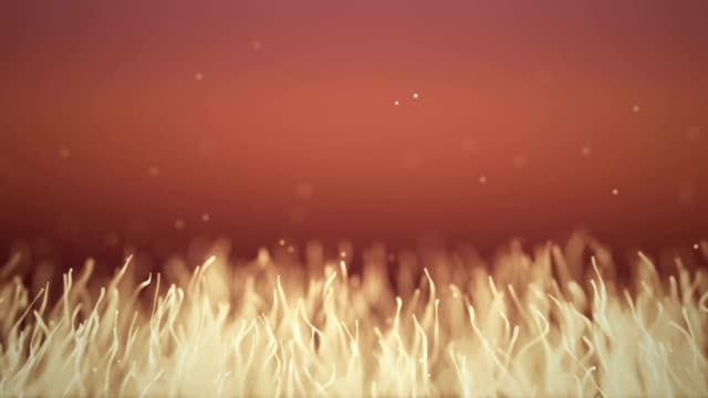 Abstract-organic-background-with-moving-and-flicker-particles.-On-beatiful-relaxing-Background.