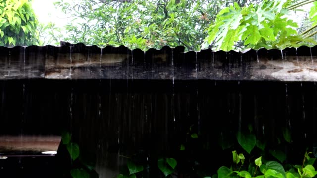 Rain-put-an-old-roof,-the-beauty-of-nature