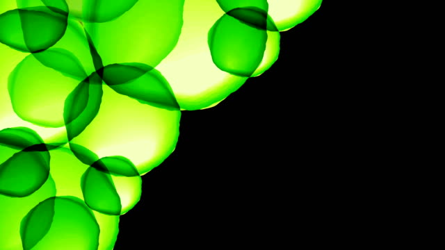 Abstrakte-transparent-Chlorophyll-Zelle-überschneiden-sich-bewegende-Muster,-Natur-Konzept-Design-Abbildung-grüne-Farbe-auf-schwarzem-Hintergrund-nahtlose-Schleife-Animation-4K-mit-textfreiraum