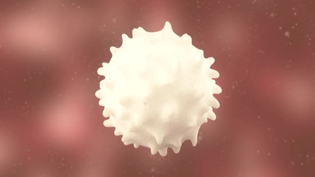 3D-animation-of-white-blood-cell