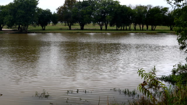 Pedernales-River-Überschwemmungen-20.-Oktober-2018