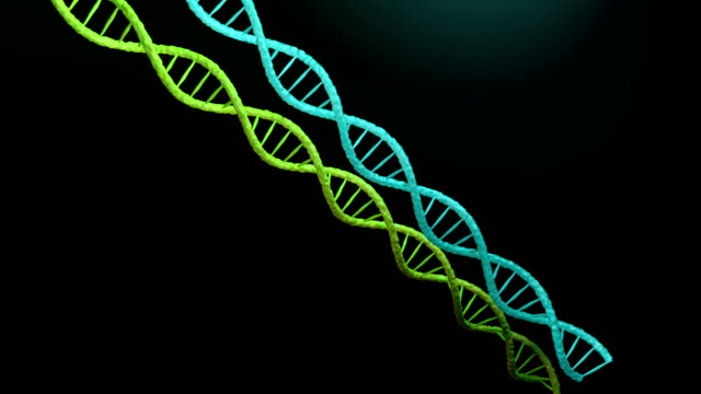 DNA-Strang-Bewegung.-4k,-3D-Animation