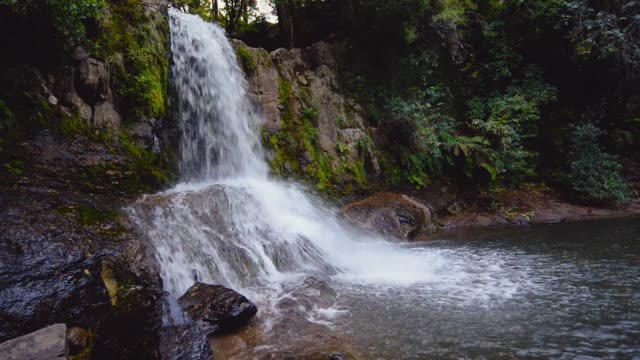 Waterfall-in-the-forest,-Waiau-Falls.-Color-graded.